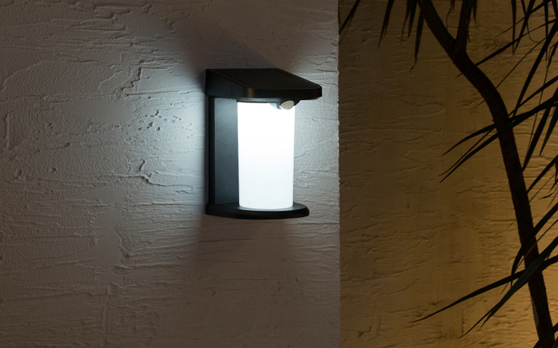 Solar Wall Light 2